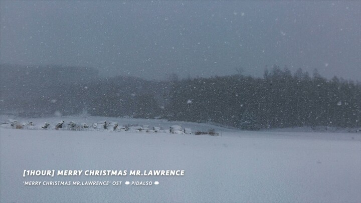 [1시간/1Hour] 류이치 사카모토(Ryuichi Sakamoto) - Merry Christmas Mr. Lawrence (Piano cover)