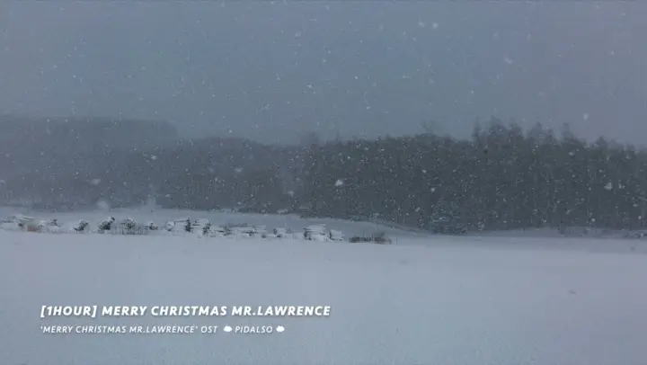 [1시간/1Hour] 류이치 사카모토(Ryuichi Sakamoto) - Merry Christmas Mr. Lawrence (Piano cover)