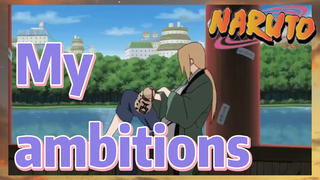 My ambitions