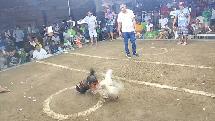 puti lang Tayo Idol