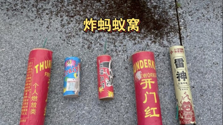 《沉浸式展示鞭炮》——炸蚂蚁窝