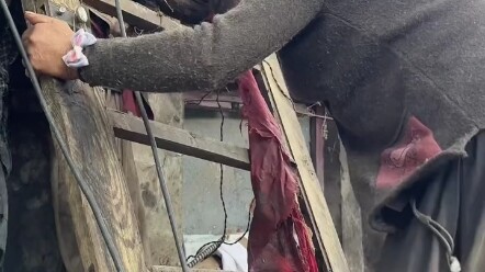 ฉันเป็นคนเร่ร่อน แต่สุนัขของฉันไม่ใช่สุนัขจรจัด ฉันเลี้ยงไว้ถึง 50 ตัว!