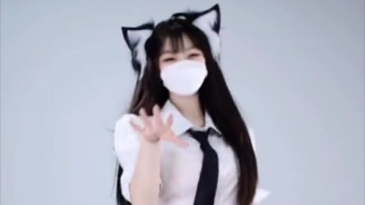 cosplay kucing🗿