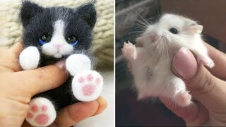 AWW SO CUTE! Cutest baby animals Videos Compilation Cute moment of the Animals - Cutest Animals #33