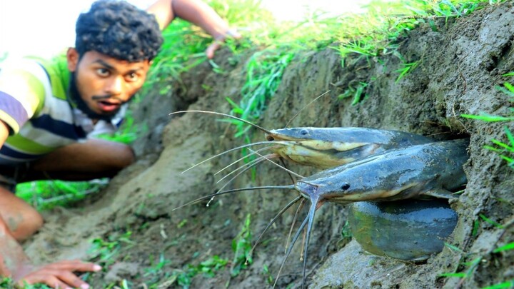 Epic Fishing Adventure 🎣| Monster Fish Strike & Unforgettable Catch 😱|Fishing Experience
