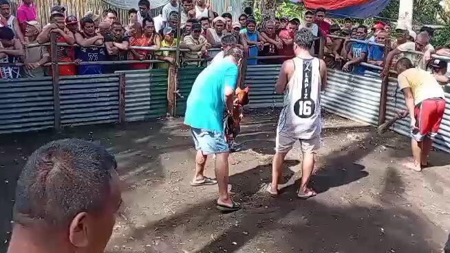 grabing basaan..panalo KASO Patay din