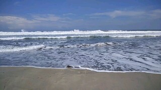 hidup bagai kelapa kering yang terombang-ambing bila tidak ibadah kepada Allah SWT