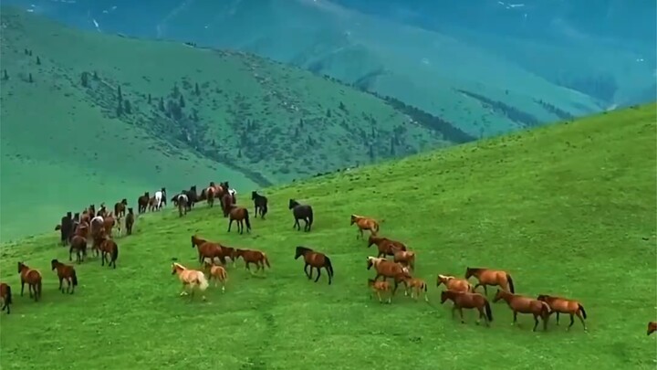 “ทันใดนั้นก็ปลดปล่อยความยึดติดทั้งหมด ฉันยังมีอีกหลายพันไมล์ให้เดินทาง”