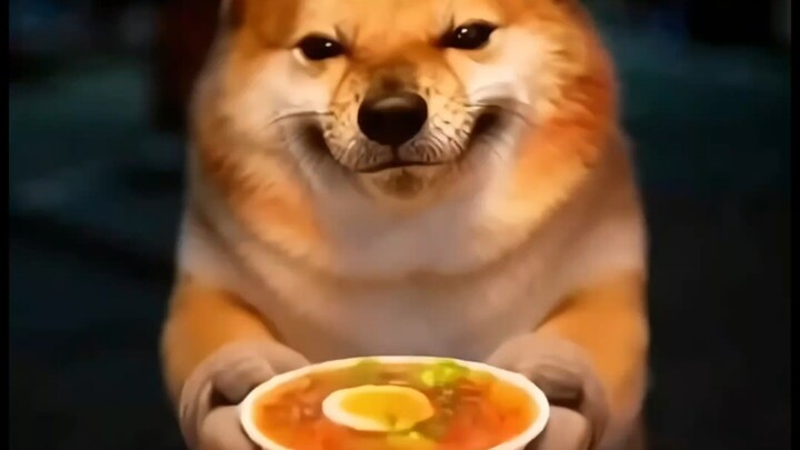 My Sword and Shield Vlog (Today I’m the Instant Noodle Seller with a Sword and Shield)