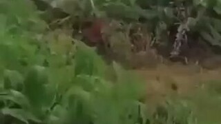 salam dari Binjai 🙏