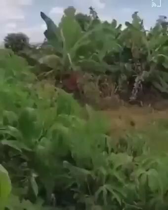 salam dari Binjai 🙏