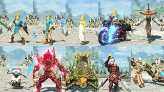 All Idle Animations - Hyrule Warriors: Age of Calamity (Including All DLC Characters)