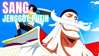 SANG JENGGOT PUTIH - ONE PIECE AMV