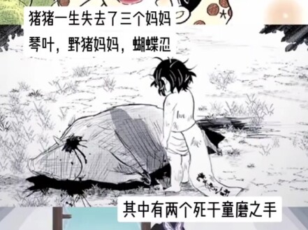有人对猪猪好它就会暖烘烘的