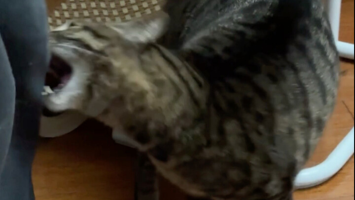 Perlakuan Berbeda A-Bao Terhadap Orang Tua