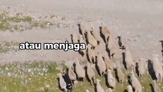 rumah yang penuh maksiat