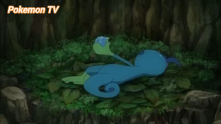 Pokemon (Short Ep 62) - Nỗi buồn của Jimeleon #pokemon