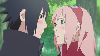 [SasuSaku] ✿ Cherry Blossoms ✿