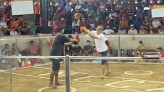 Raptor Sweater Win tayo sa New Caloocan Cockpit Arena Hackfight mga boss kalaban white choco 3/26/23