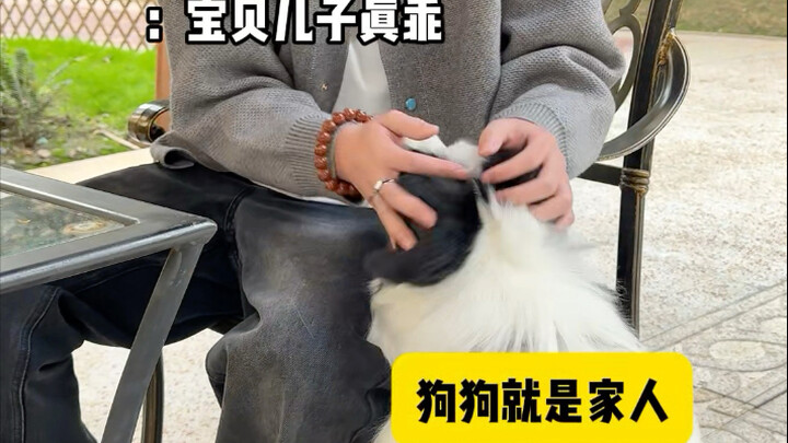 Facepalm Moments Before and After Getting a Pet