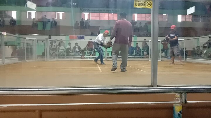lacy Roundhead 2nd fight lost