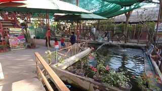 ให้อาหารปลาแบบใช้คันเบ็ด ที่ตลาดน้ำอโยธยา