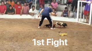 Full brothers 2hits Champion @ Igay Cockpit Arena