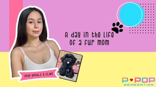 A Day In The Life Of A Fur Mom | PPop Apphle