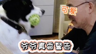 Ông cụ ngày xưa cứ mãi khuyên chúng tôi gửi chú chó hoang đi, giờ lại tìm đủ mọi lý do để mang chó c