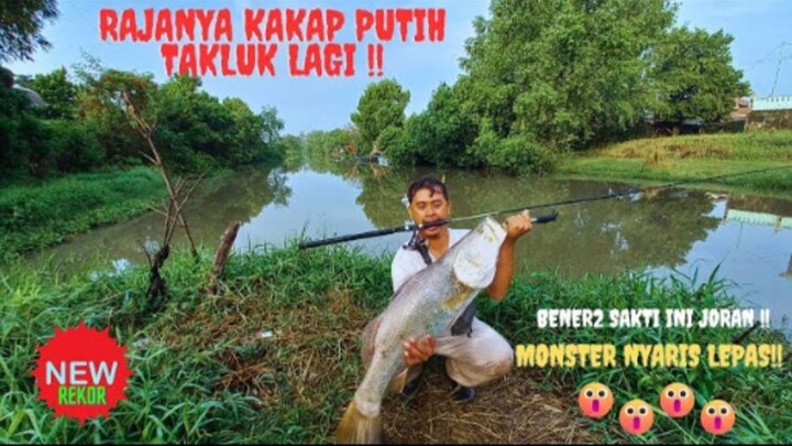 NYARIS LEPAS  !! SANGAT MENEGANGKAN SEKALI TARIKAN KAKAP PUTIH TERBESAR SAYA SETELAH SEBELUMNYA 14KG