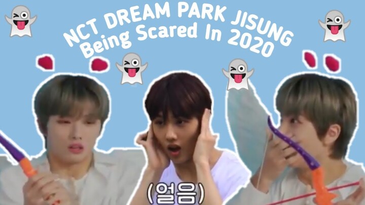 NCT Dream Park Jisung Being Scared in 2020