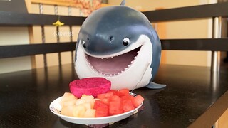 A baby shark stole its owner's fruit and ended up with a stomachache.