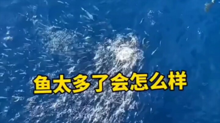 "Mỗi câu đều không nhắc đến người, nhưng mỗi câu đều không rời khỏi người"