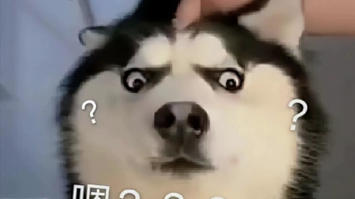 Please enjoy the mixed noodles!