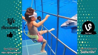 Funny Animals Reaction - Try Not To Laugh Shark With Baby