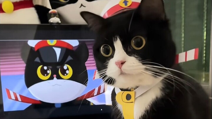 آها! المفتش القط الأسود!! المفتش القط الأسود يتحرك!