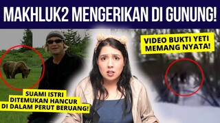 HEWAN2 & "MAKHLUK" Paling BERBAHAYA di GUNUNG! 😰