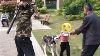 今日份 很舒适 。