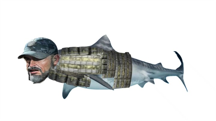 Carmona Bio-File Episode 13: Delvin Shark (Silly Fish)
