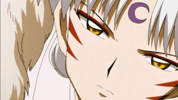 [Sesshomaru/Chỉ đạo cá nhân/Cắt hỗn hợp] Chú chó này đẹp trai quá! ! ! !