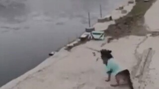 The fisherman was in a hurry to go to the toilet, and the heartwarming dog successfully helped him c