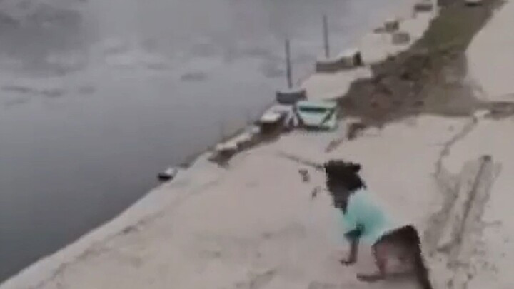 钓鱼佬着急上厕所，暖心狗狗顺利帮钓鱼佬钓起小鱼！