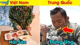 ✈️ Cái Kết Thật Bất Ngờ - So Sánh Suất Ăn Bộ Đội Việt Nam và 10 Cường Quốc Trên TG | Khám Phá Đó Đây