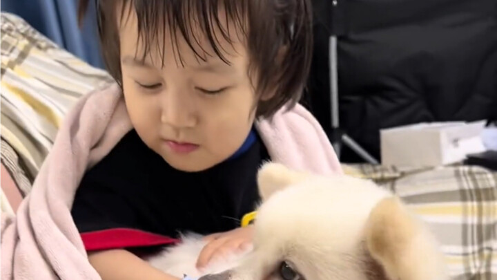 Thằng này có đến 800 mưu mẹo…🤣🤣