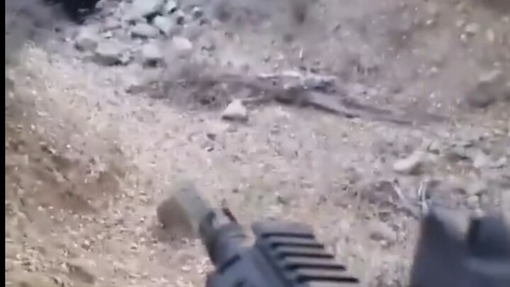 ปืนไรเฟิล AR15 ล่าหมีที่พุ่งเข้าใส่!