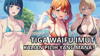 Yakin Ga Mau Bawa Pulang 3 Waifu Sexy Ini?