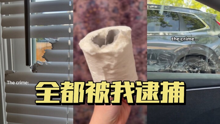 Crime Scene vs. Criminal