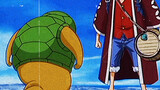 "If you meet a turtle who can use Haki on the sea, you must treat him well. He is Luffy's top discip