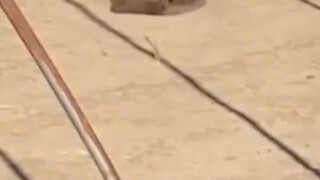 Bro, don’t get me wrong—I’m here to make friends.