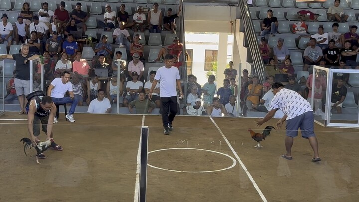 1st fight WIN Urdaneta coliseum 1-12-26 WWD